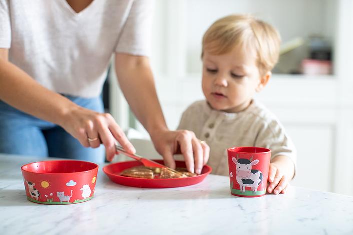 Zestaw naczyń dziecięcych Connect Organic 3 el.