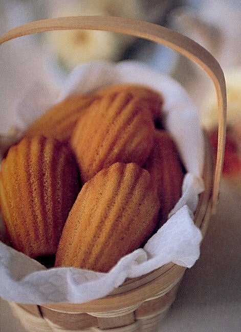 Gourmet Kalup za Madeleine crveni