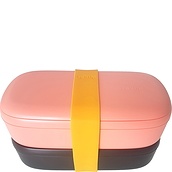 To Go Lunchbox bright coral