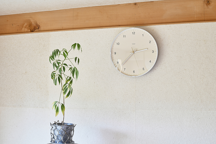 Reloj de Pared Biome, 32 cm, blanco