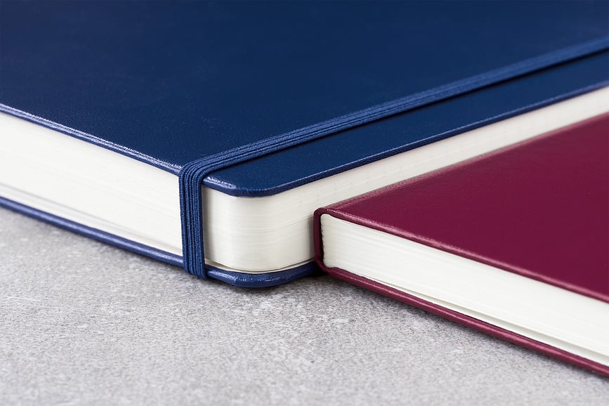 Leuchtturm 1917 Notes, A4+, 123 strani, trda vezava, brez črt, umazano roza, 100 g/m²