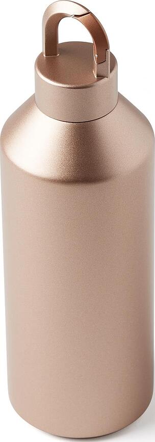 Horizon Bouteille Isotherme 500 ml, argent foncé