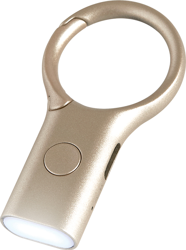 Nomaday Porte-clés avec lampe de poche, noir