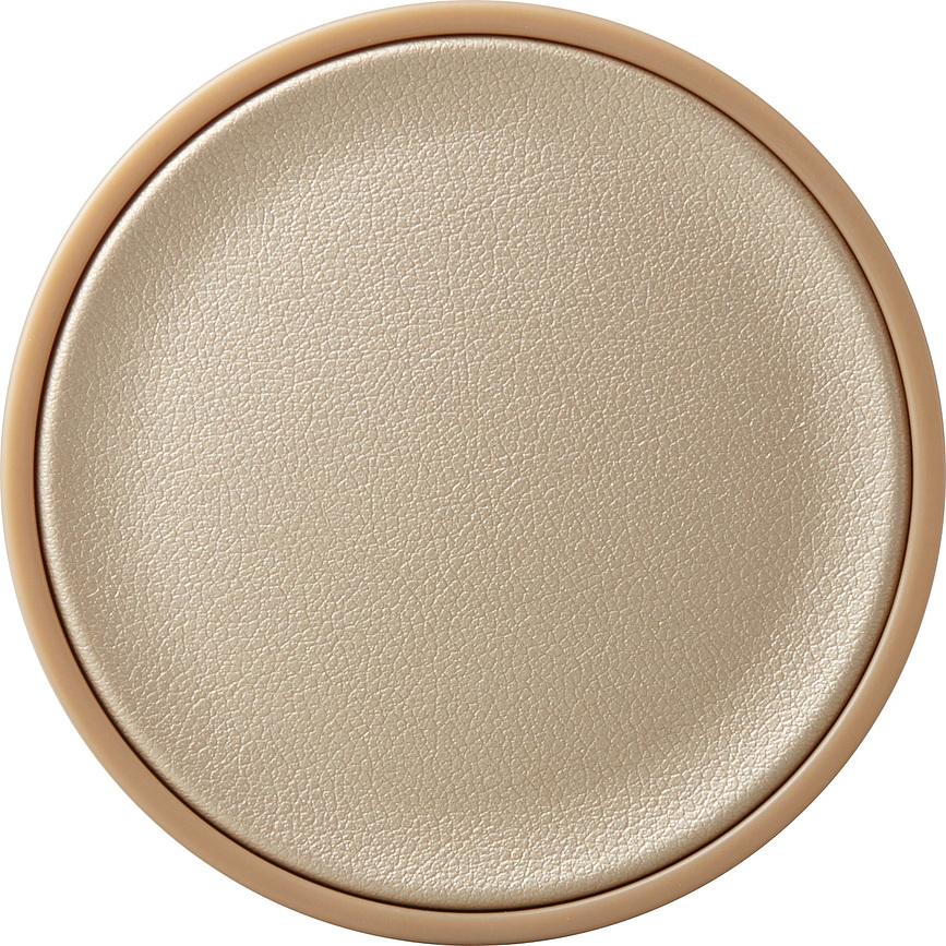 Poweron Polnilec za baterije, bel