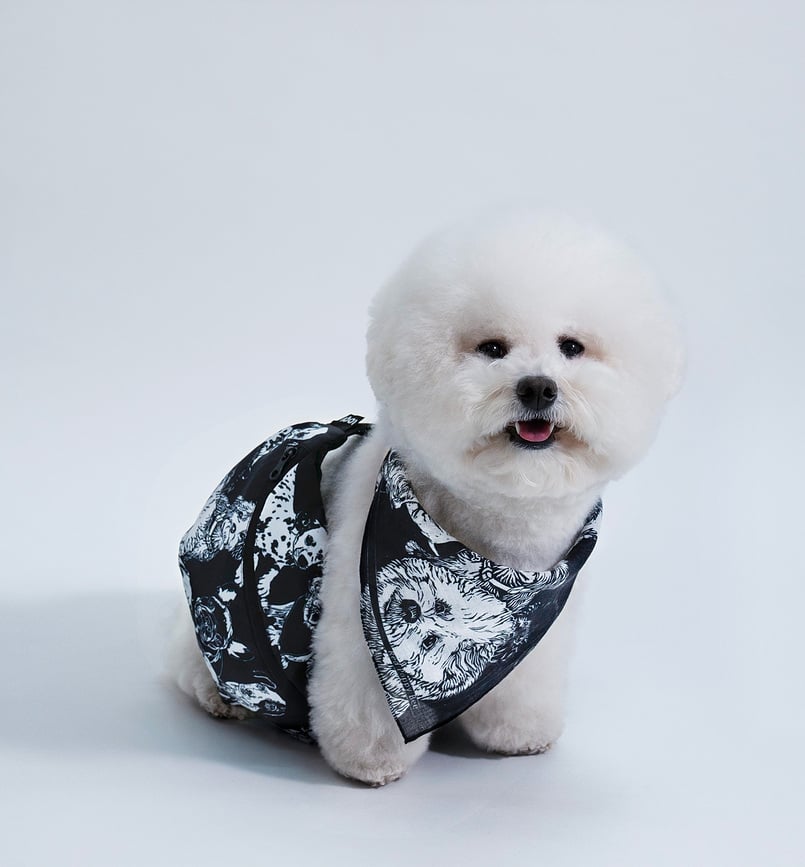 LOQI Artist Kirsten Nangala Egan Water Dreaming Torbica reciklirana, modra