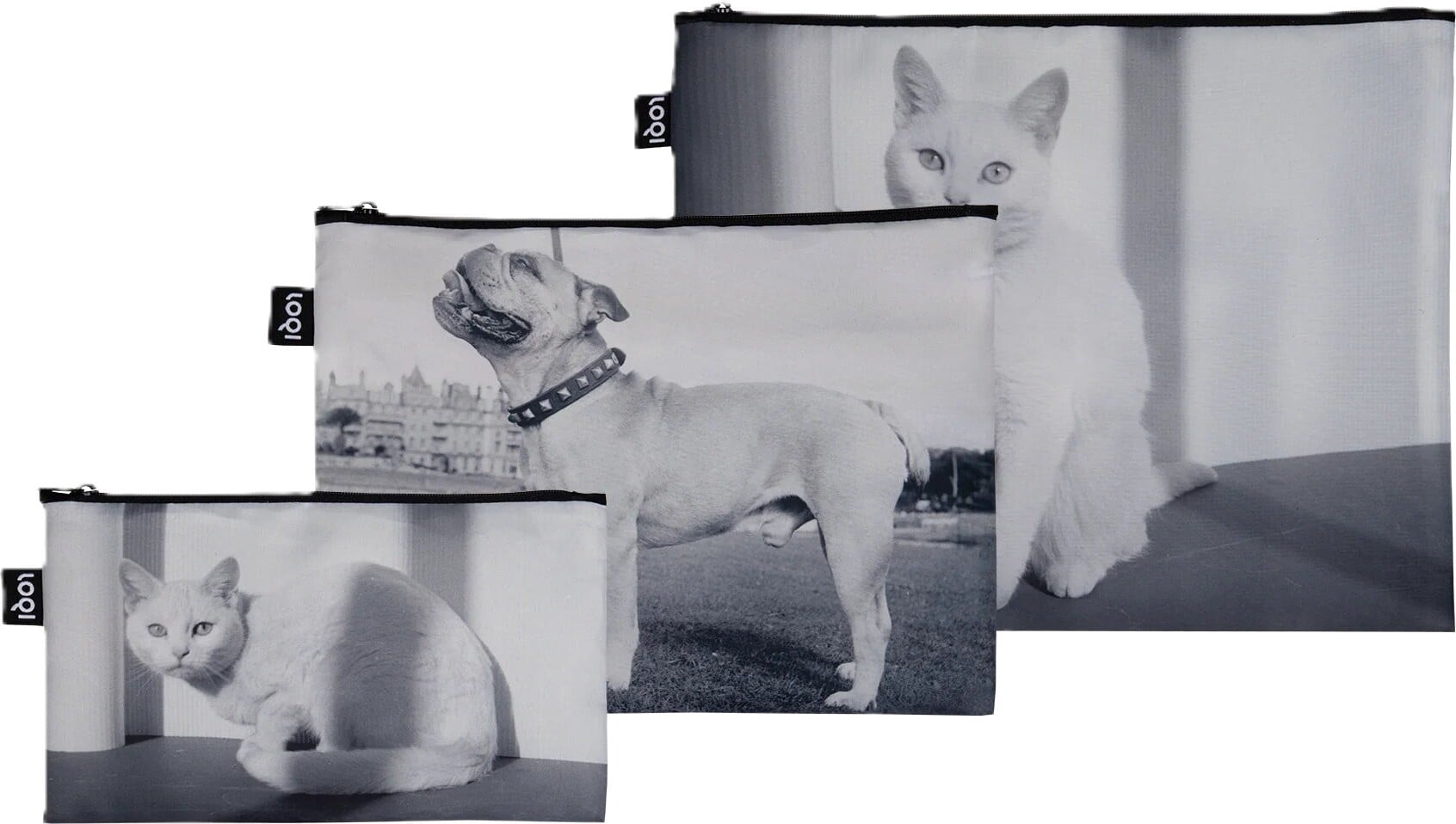 LOQI CiCLO Museum Eileen Agar Bella the Cat and Dandy the Bulldog Taschen, 3 St.