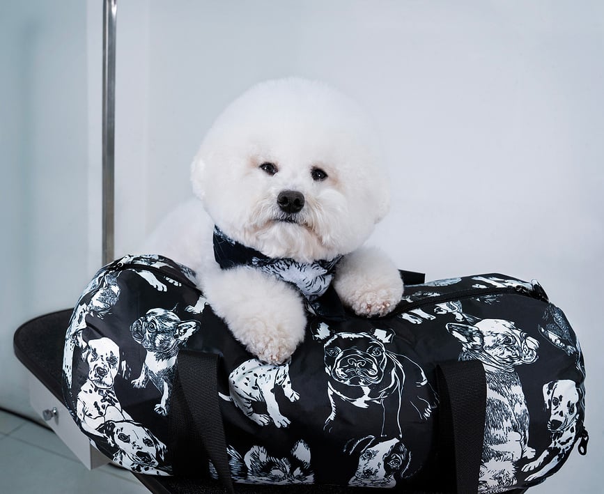 LOQI Weekender Artist Kirsten Nangala Egan Water Dreaming Torba, modra, reciklirana