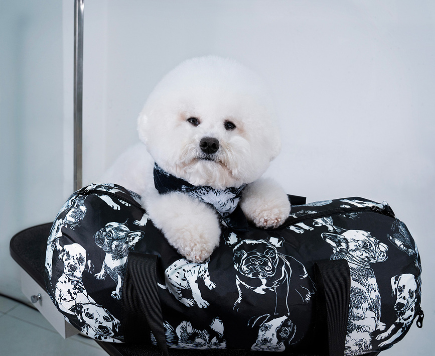 LOQI Weekender Artist Kirsten Nangala Egan Water Dreaming Sac, bleu, en matière recyclée