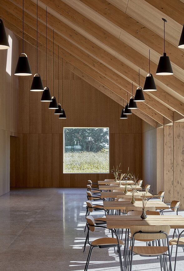 Above Viseća Lampa 25 cm bijela