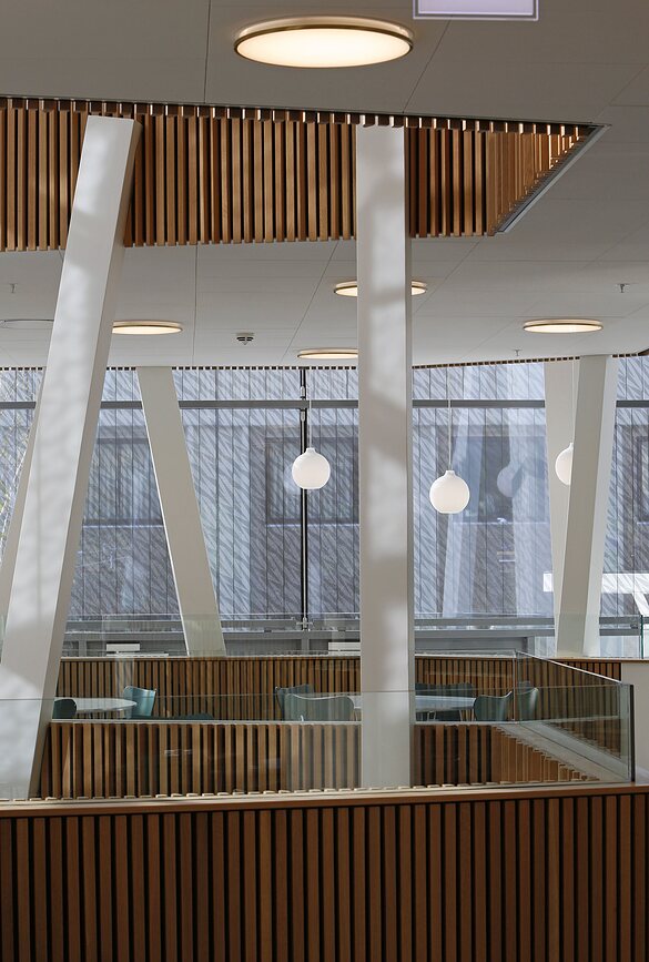 Munkegaard Stropna svetilka LED s krmiljenjem Dali, 3000K, 52,5 cm, medenina