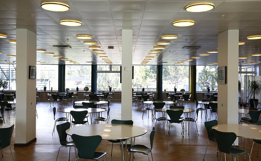 Munkegaard Stropna svetilka LED s krmiljenjem Dali, 3000K, 52,5 cm, medenina