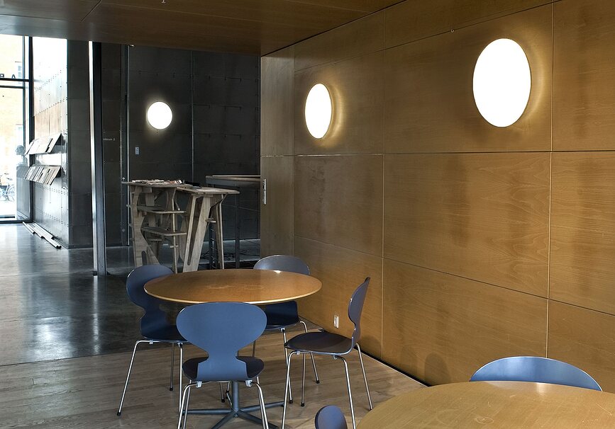 Silverback Plafonnier ou Applique Murale LED 3000K, 29,5 cm, compatible Dali