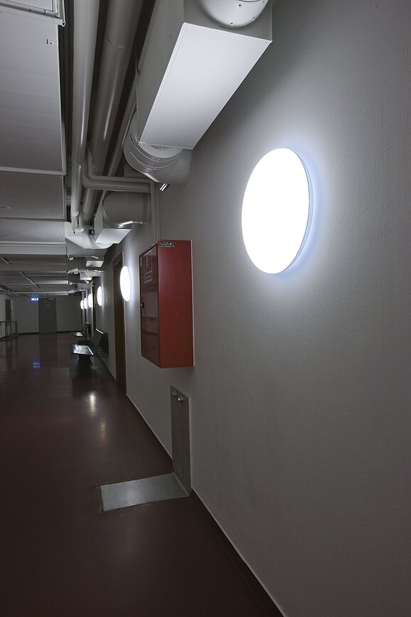 Silverback Plafonnier ou Applique Murale LED 3000K, 29,5 cm, compatible Dali