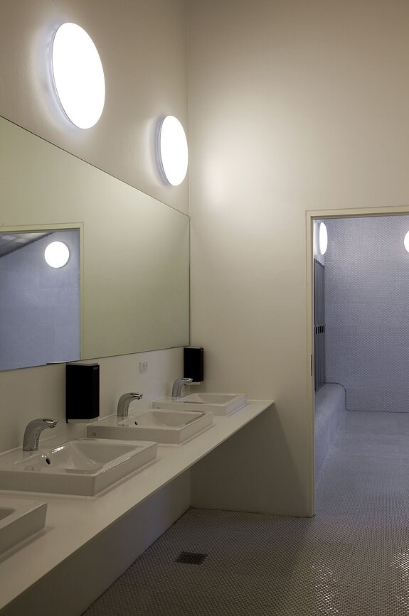 Silverback Plafonnier ou Applique Murale LED 3000K, 29,5 cm, compatible Dali