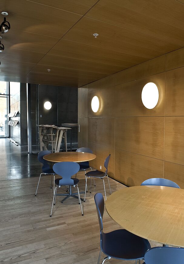 Silverback Svetilka LED, stropna ali stenska, s krmiljenjem Dali, 44 cm, 3000K