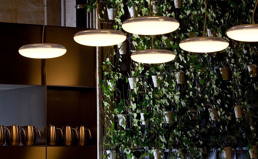 Silverback Viseča svetilka LED, s krmiljenjem Dali, 44 cm, 3000K