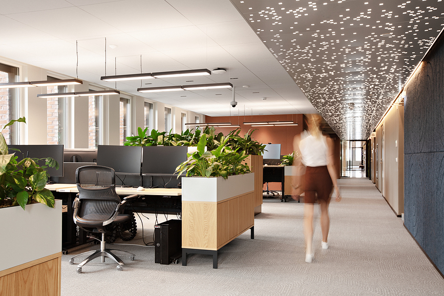 Slim Box Suspended Double Luminaire Suspendu LED, avec diffuseur opale, contrôle DALI, 4000K, blanc