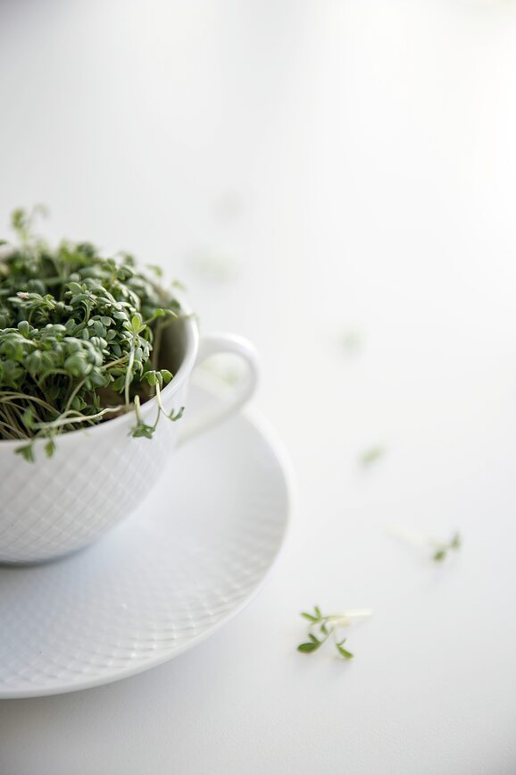 Taza con Plato Rhombe