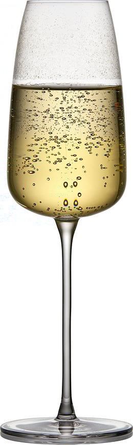 Copas de Champán Veneto, 360 ml, 2 unidades