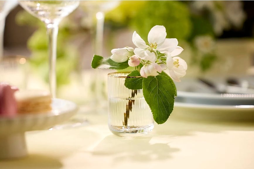 Palermo Čaše za žestoka pića 60 ml 6 kom.