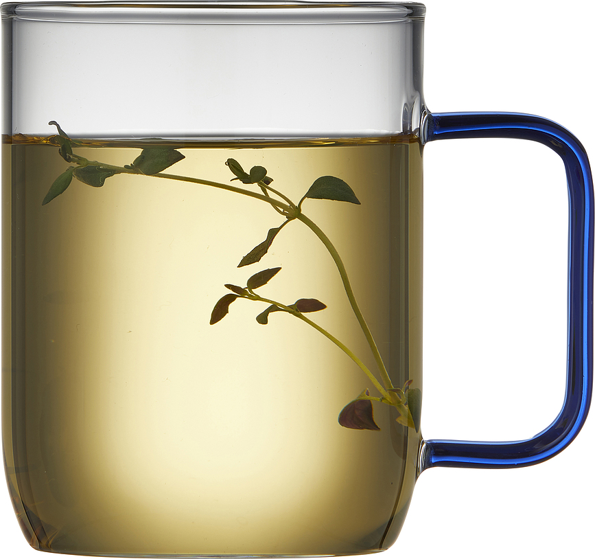 Torino Verres 400 ml, transparents, avec anse verte, Lot de 2