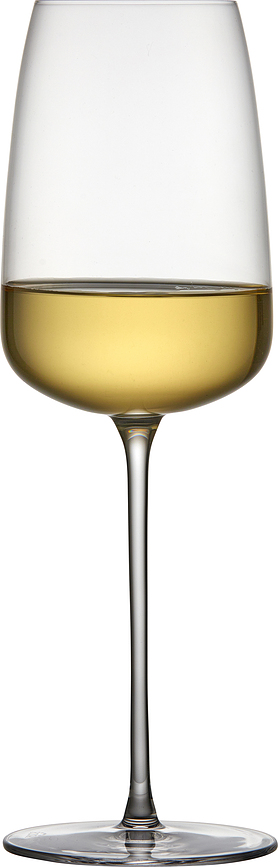 Veneto Ποτήρια Κρασιού για λευκό κρασί, 480 ml, 2 τμχ