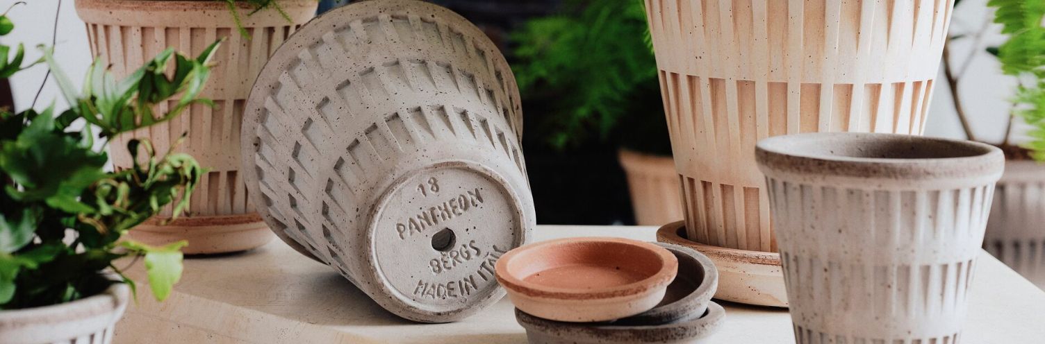 Does a Pot Need Drainage Holes? All About Drainage, Cachepots, and Pots with Drainage