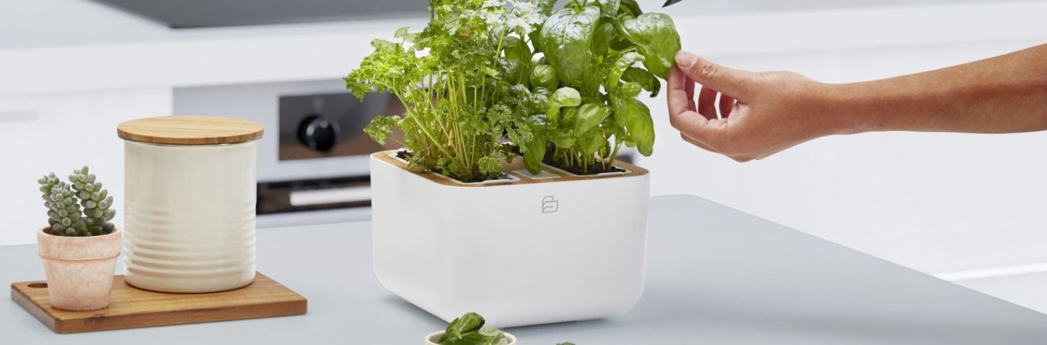 Pots à herbes aromatiques pour la cuisine - Nos recommandations