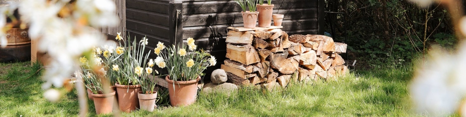 Bergs Potter – Töpfe, in denen Blumen wunderschön blühen