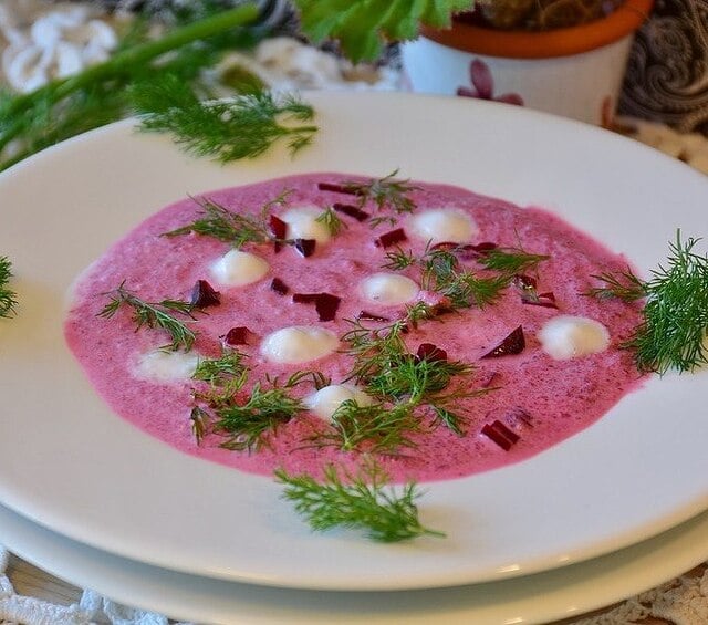 Litvanski hladnjak 1