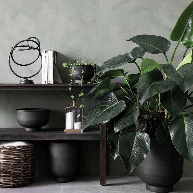 Pots noirs House Doctor dans un intérieur gris