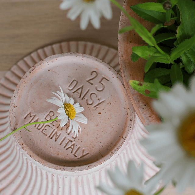 Pot Daisy avec trou de drainage