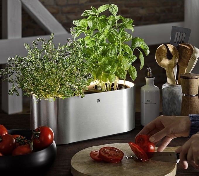 Γλάστρα για βότανα WMF