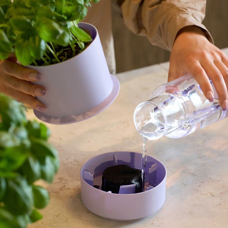 self-watering pot by Crushgrind