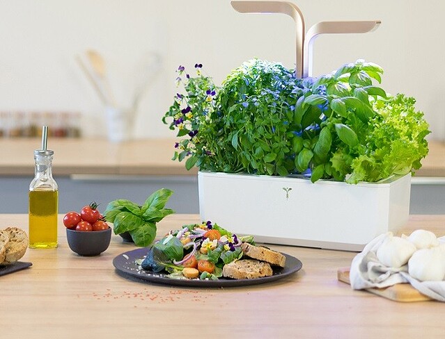 Γλάστρα Veritable Connect