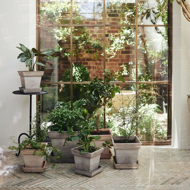 Macetas junto a la ventana