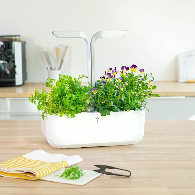 pots à herbes de cuisine - modèle auto-arrosant