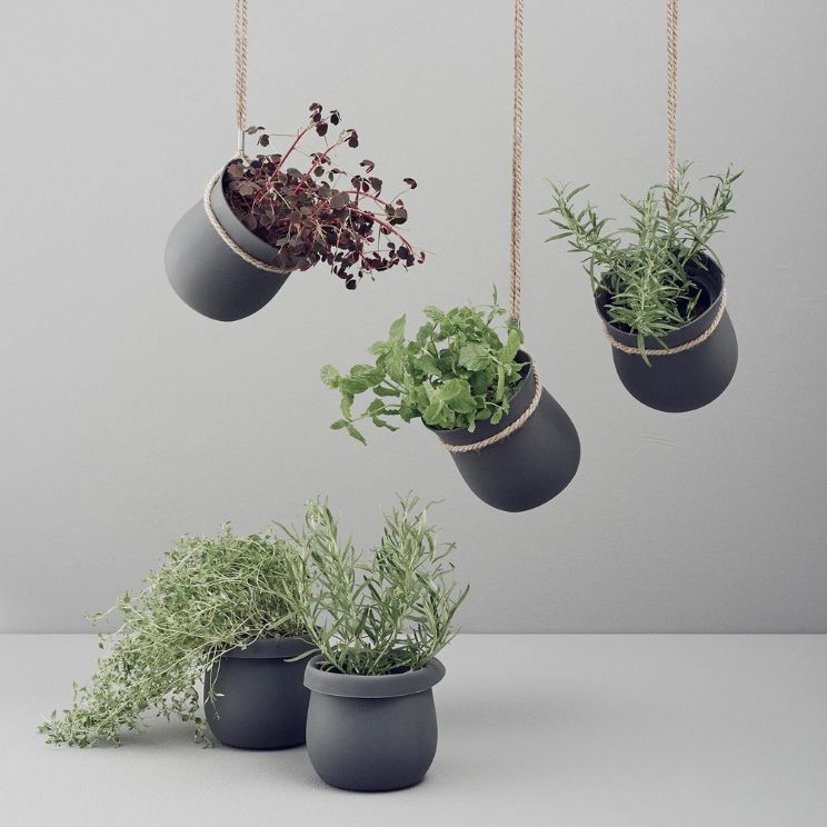 pots à herbes de cuisine - modèle suspendu