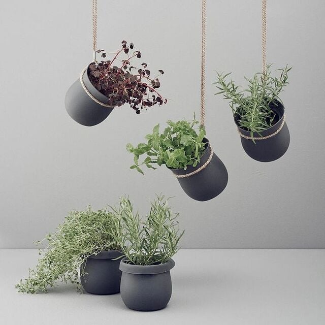 pots à herbes de cuisine - modèle suspendu