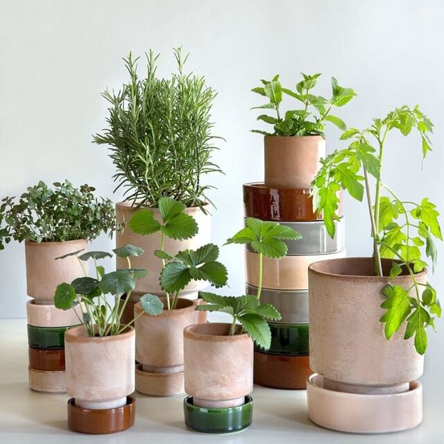 pots à herbes de cuisine de Bergs Potter