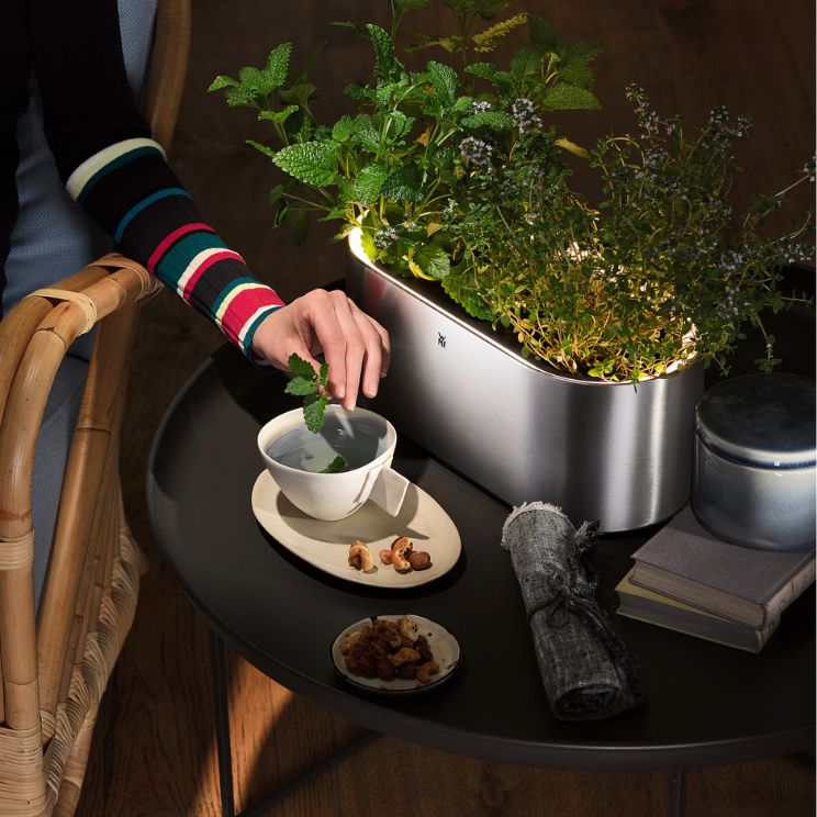 les pots à herbes de cuisine sont également disponibles en tant que contenants modernes en métal