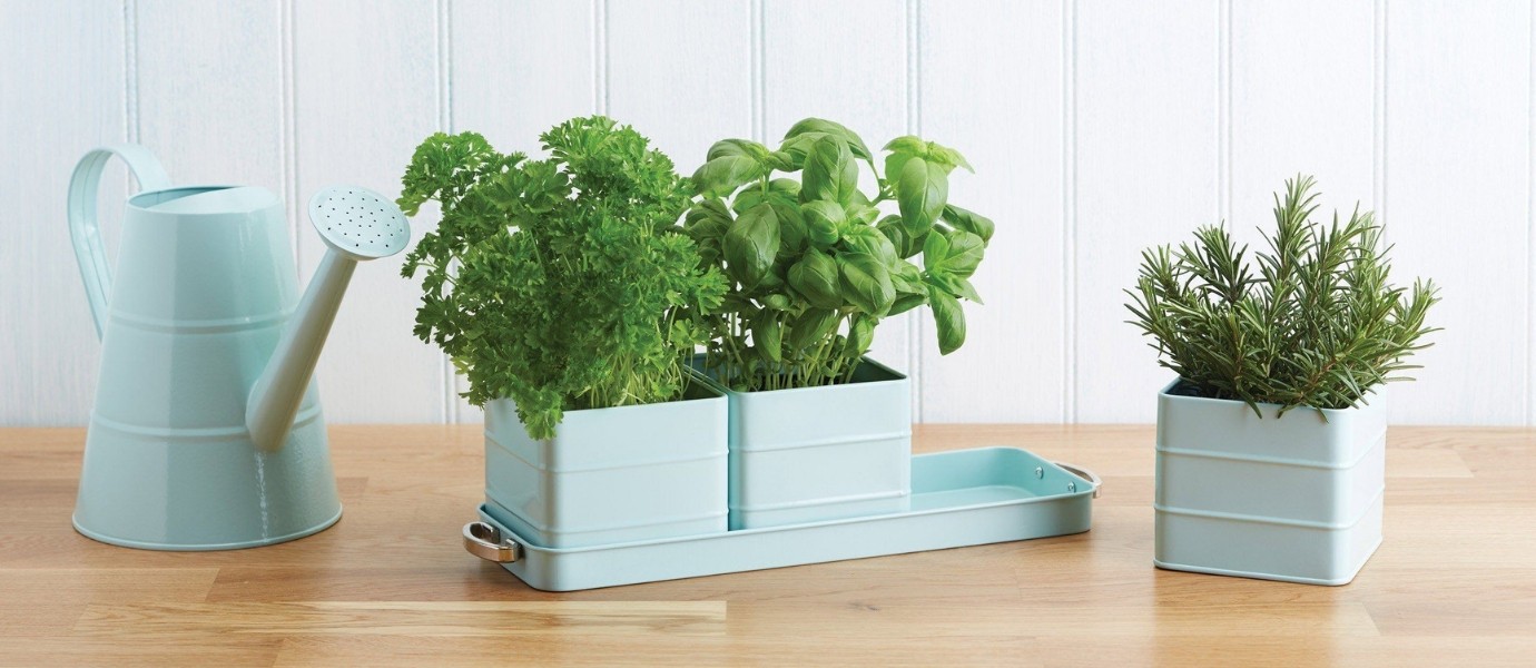 tegle za bilje ferm living plava