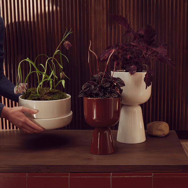 Pots Nappula avec des plantes