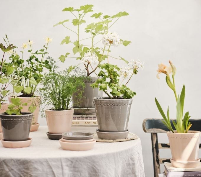 Glazirani lončki Helena znamke Bergs Potter