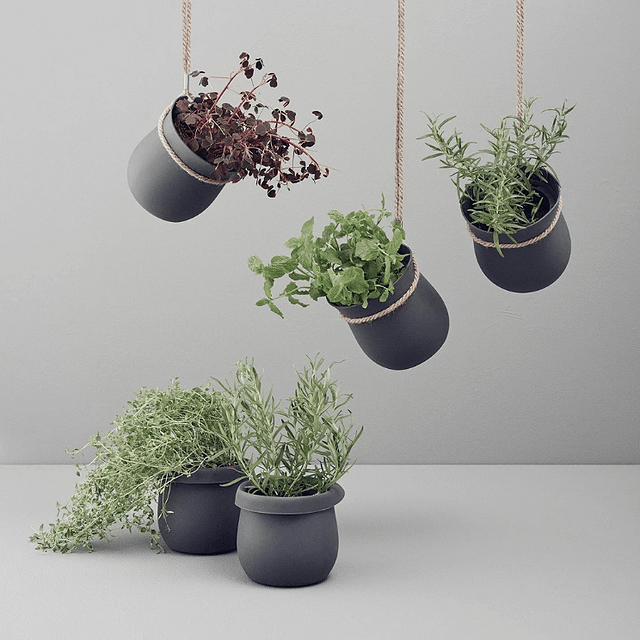 Pots suspendus pour herbes Rig Tig