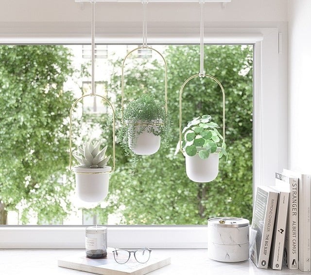 Pots suspendus Triflora