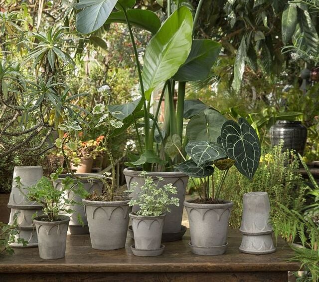 Lončki iz terakote Bergs Potter