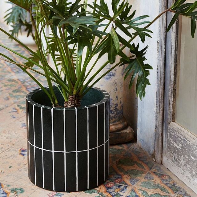 Grand pot Pillar avec une plante