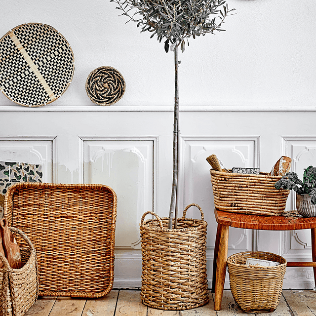 Olivier dans un panier en herbe de mer