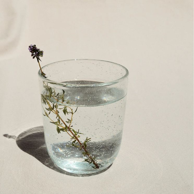 fine dining: sztuka prezentowania dań i napojów